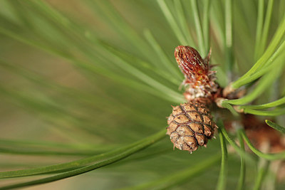 BUITEN BEELD Foto: 291342