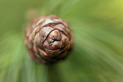 BUITEN BEELD Foto: 291344