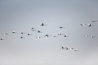 BUITEN BEELD Foto: 291399