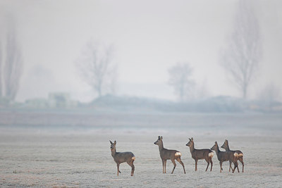 BUITEN BEELD Foto: 291408