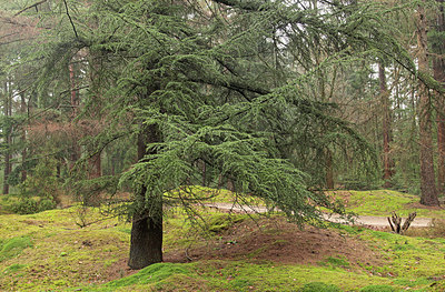 BUITEN BEELD Foto: 291467
