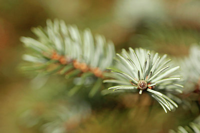 BUITEN BEELD Foto: 291487