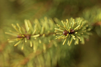 BUITEN BEELD Foto: 291488