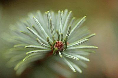 BUITEN BEELD Foto: 291491