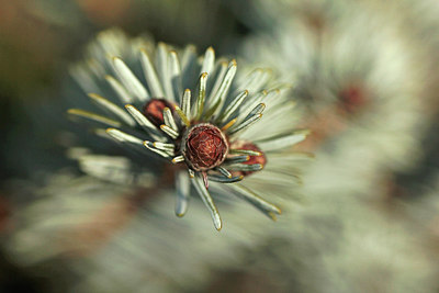 BUITEN BEELD Foto: 291493