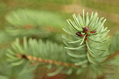 BUITEN BEELD Foto: 291494