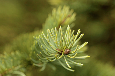 BUITEN BEELD Foto: 291495