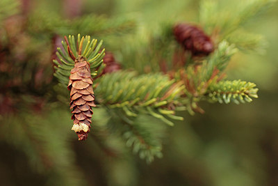 BUITEN BEELD Foto: 291497