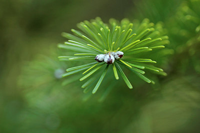 BUITEN BEELD Foto: 291555