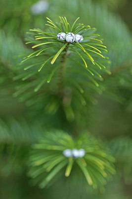 BUITEN BEELD Foto: 291556