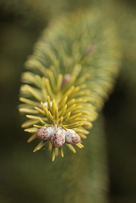 BUITEN BEELD Foto: 291563