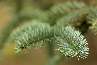 BUITEN BEELD Foto: 291574