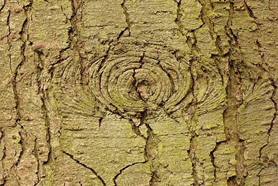 BUITEN BEELD Foto: 291576
