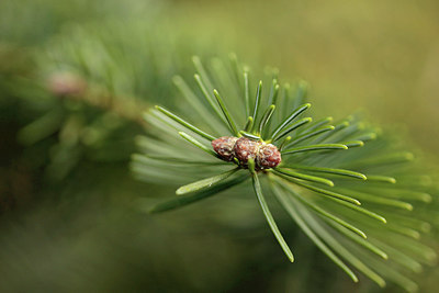 BUITEN BEELD Foto: 291589