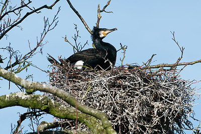 BUITEN BEELD Foto: 291592