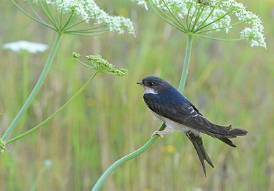 BUITEN BEELD Foto: 291632