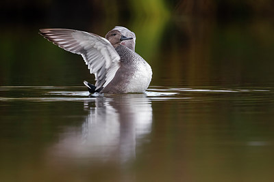 BUITEN BEELD Foto: 291777