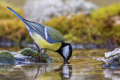 BUITEN BEELD Foto: 291792