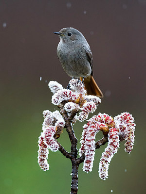 BUITEN BEELD Foto: 291853