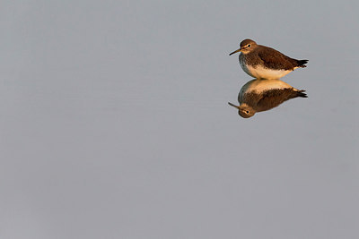 BUITEN BEELD Foto: 292031