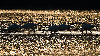 BUITEN BEELD Foto: 292085