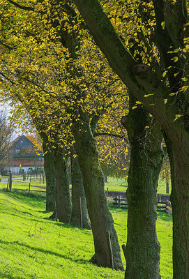 BUITEN BEELD Foto: 292204