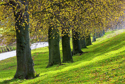 BUITEN BEELD Foto: 292215