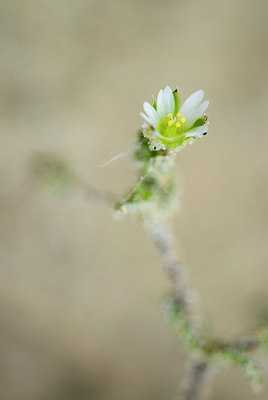 BUITEN BEELD Foto: 292233