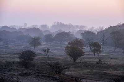 BUITEN BEELD Foto: 292356