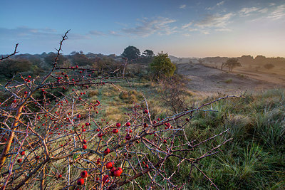 BUITEN BEELD Foto: 292372