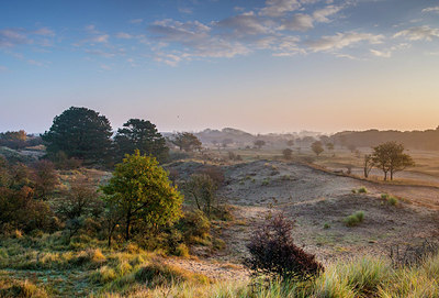 BUITEN BEELD Foto: 292380