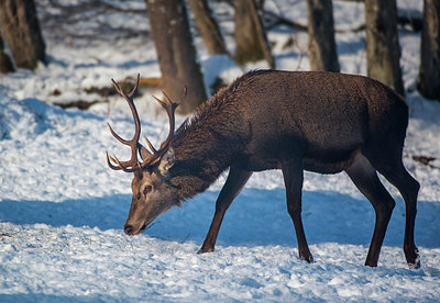 BUITEN BEELD Foto: 292396