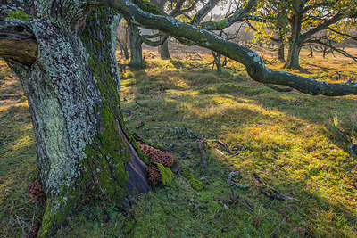 BUITEN BEELD Foto: 292404