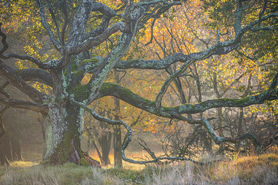 BUITEN BEELD Foto: 292413