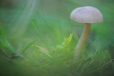BUITEN BEELD Foto: 292420