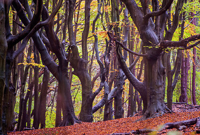 BUITEN BEELD Foto: 292431