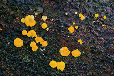 BUITEN BEELD Foto: 292445
