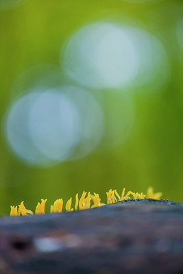 BUITEN BEELD Foto: 292450