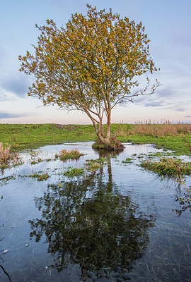BUITEN BEELD Foto: 292457