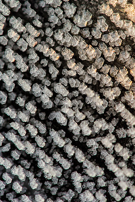 BUITEN BEELD Foto: 292476