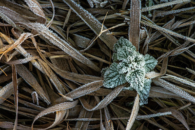 BUITEN BEELD Foto: 292508