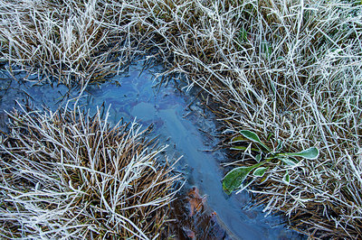 BUITEN BEELD Foto: 292513