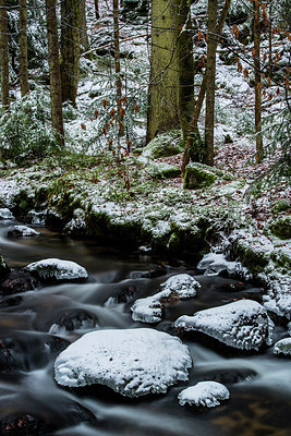 BUITEN BEELD Foto: 292543