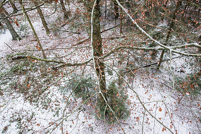BUITEN BEELD Foto: 292545