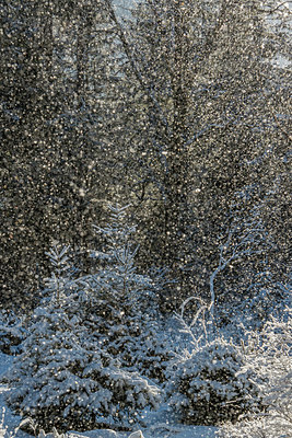 BUITEN BEELD Foto: 292615