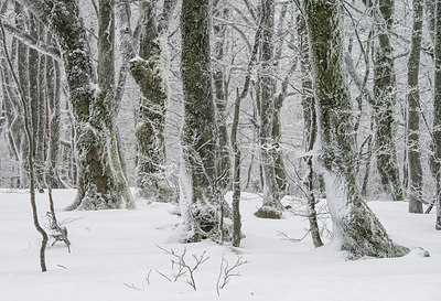 BUITEN BEELD Foto: 292625