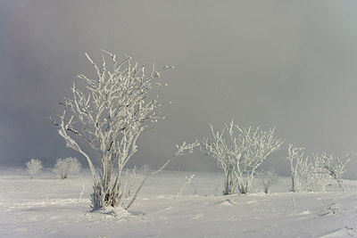 BUITEN BEELD Foto: 292650