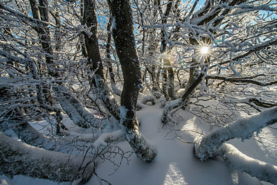 BUITEN BEELD Foto: 292663
