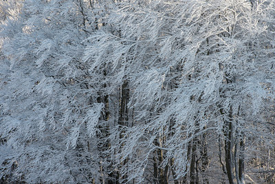 BUITEN BEELD Foto: 292664