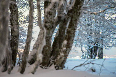 BUITEN BEELD Foto: 292665